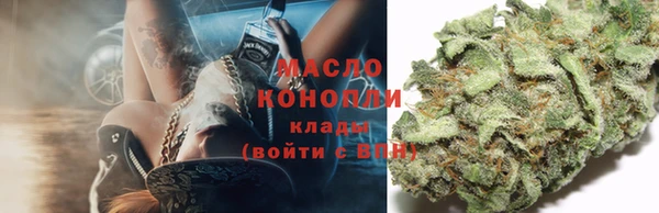 индика Вязники