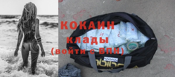 индика Вязники