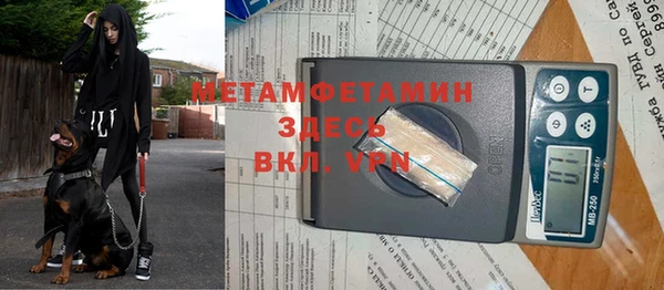 индика Вязники
