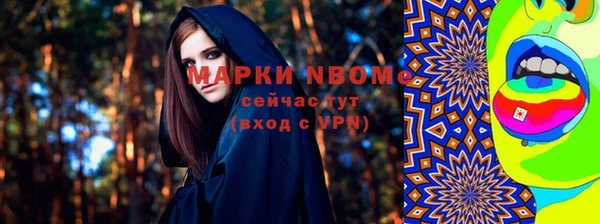 индика Вязники