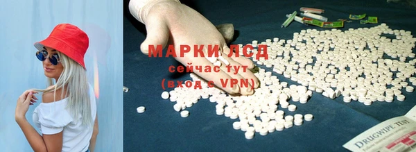 индика Вязники