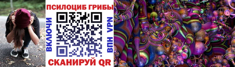 Псилоцибиновые грибы MAGIC MUSHROOMS  Купить где  Саров 